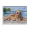 Stupell Industries Coastal Golden Retriever Relaxing Dock Framed Giclee Art